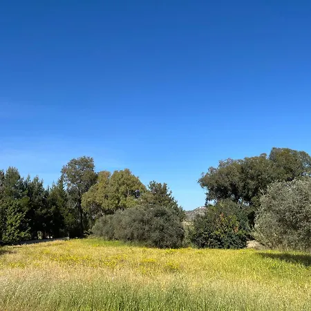 The Blue House Villa