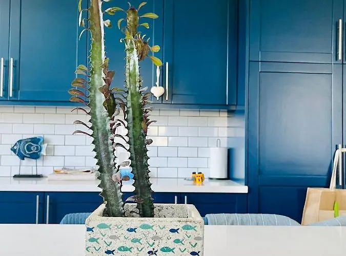 Βίλα The Blue House