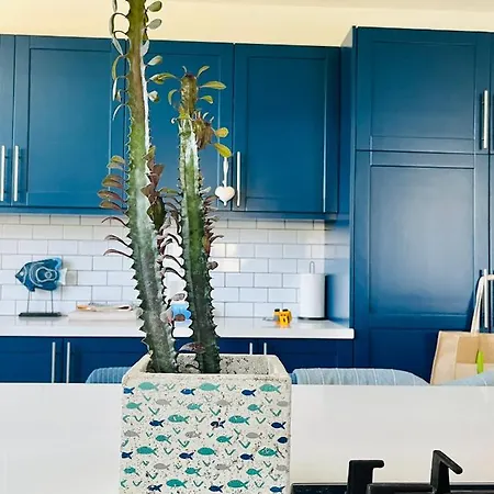 ヴィラ The Blue House