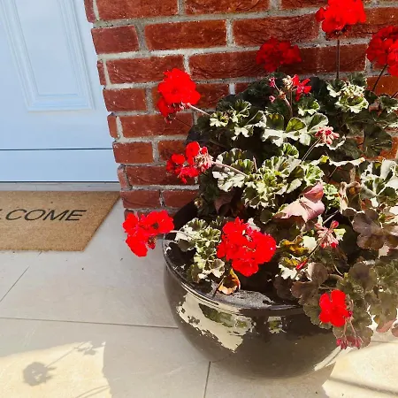 Villa The Blue House